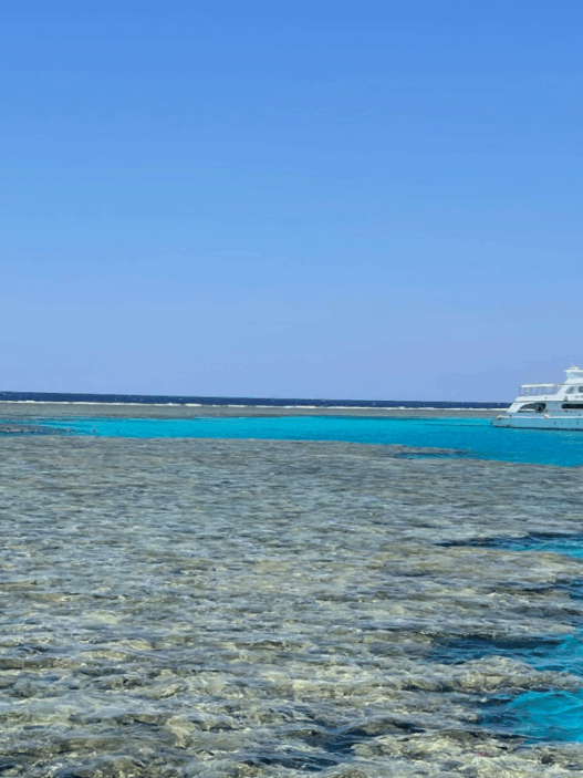 10 cose da sapere prima di andare a Marsa Alam